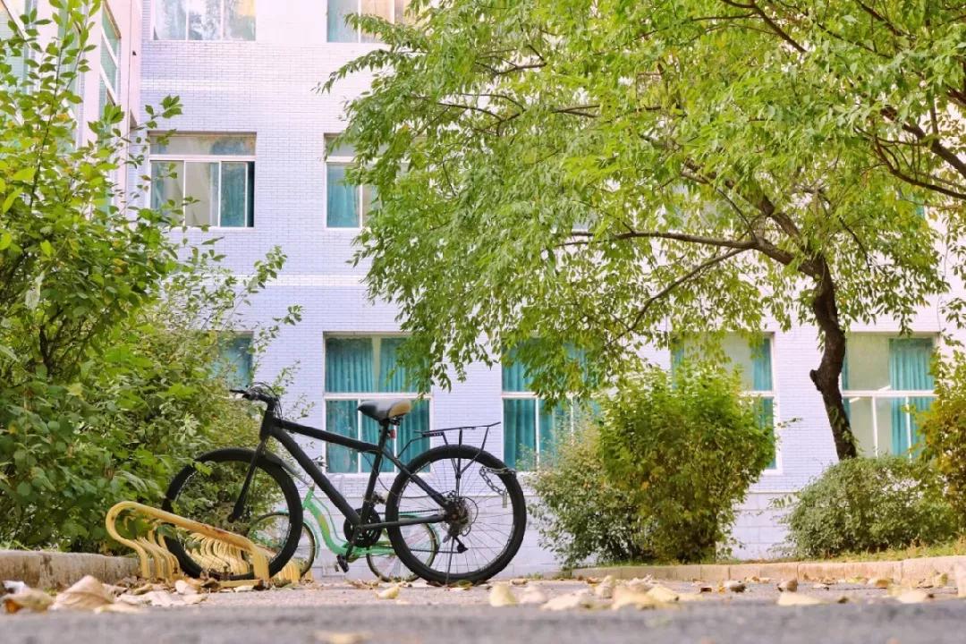 沈阳医学院在辽宁排名,沈阳医学院全面介绍