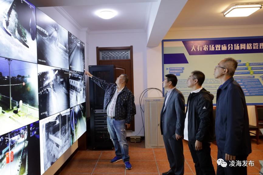 凌海市大有农场,锦州市凌海市大有农场