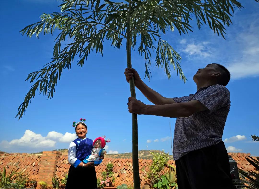 2023平遥国际摄影节获奖摄影作品,2009大理摄影展获奖作品