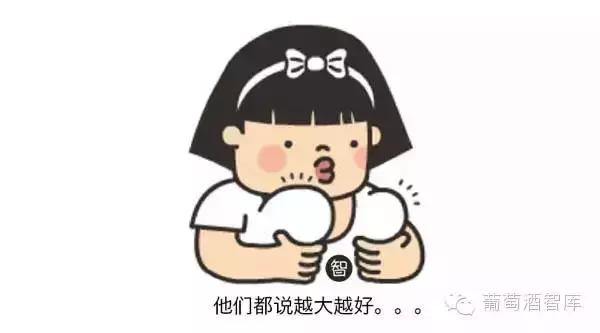 奔富的BIN707、407、389这些数字到底什么意思？