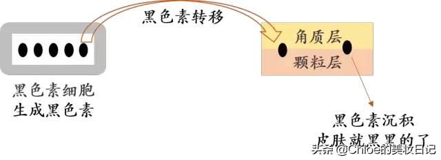 20款大牌精华,100多左右的好用美白精华