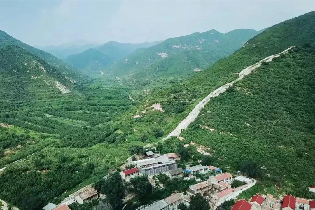 这才叫生活！山中3年他建了一个漂亮小院，活的比年轻人还酷！