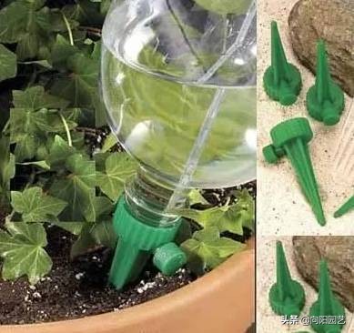 在家里怎么自制一个自动浇水装置,自制简单自动浇水神器美观