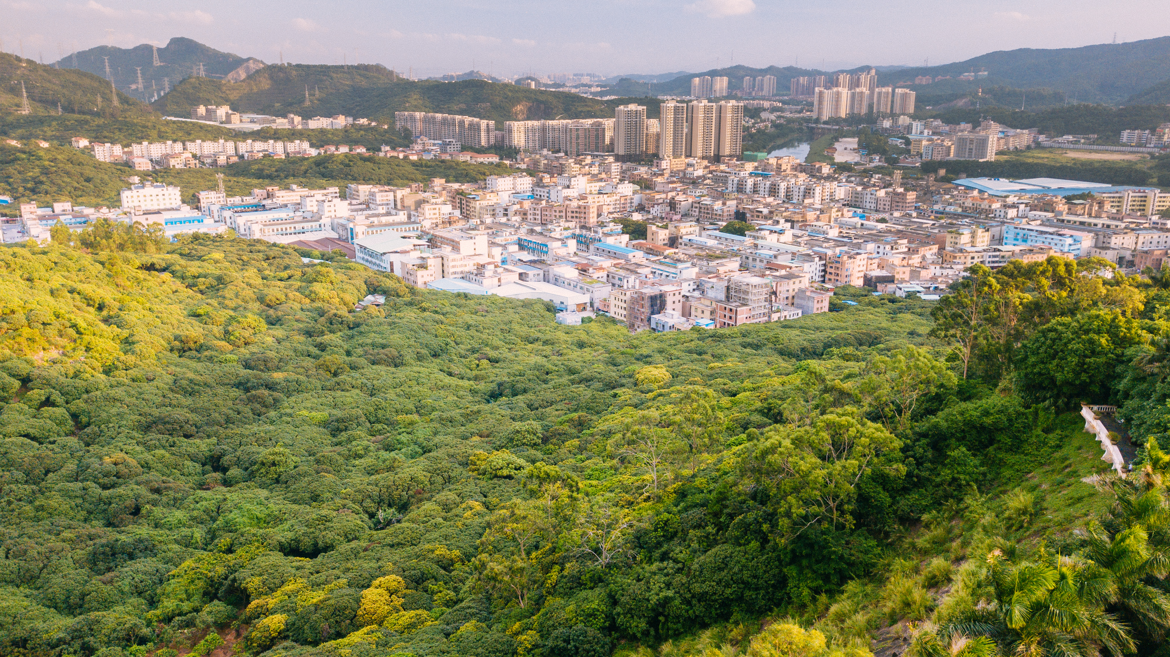 樟木头旅游酒店哪家好,樟木头住宿哪里最好