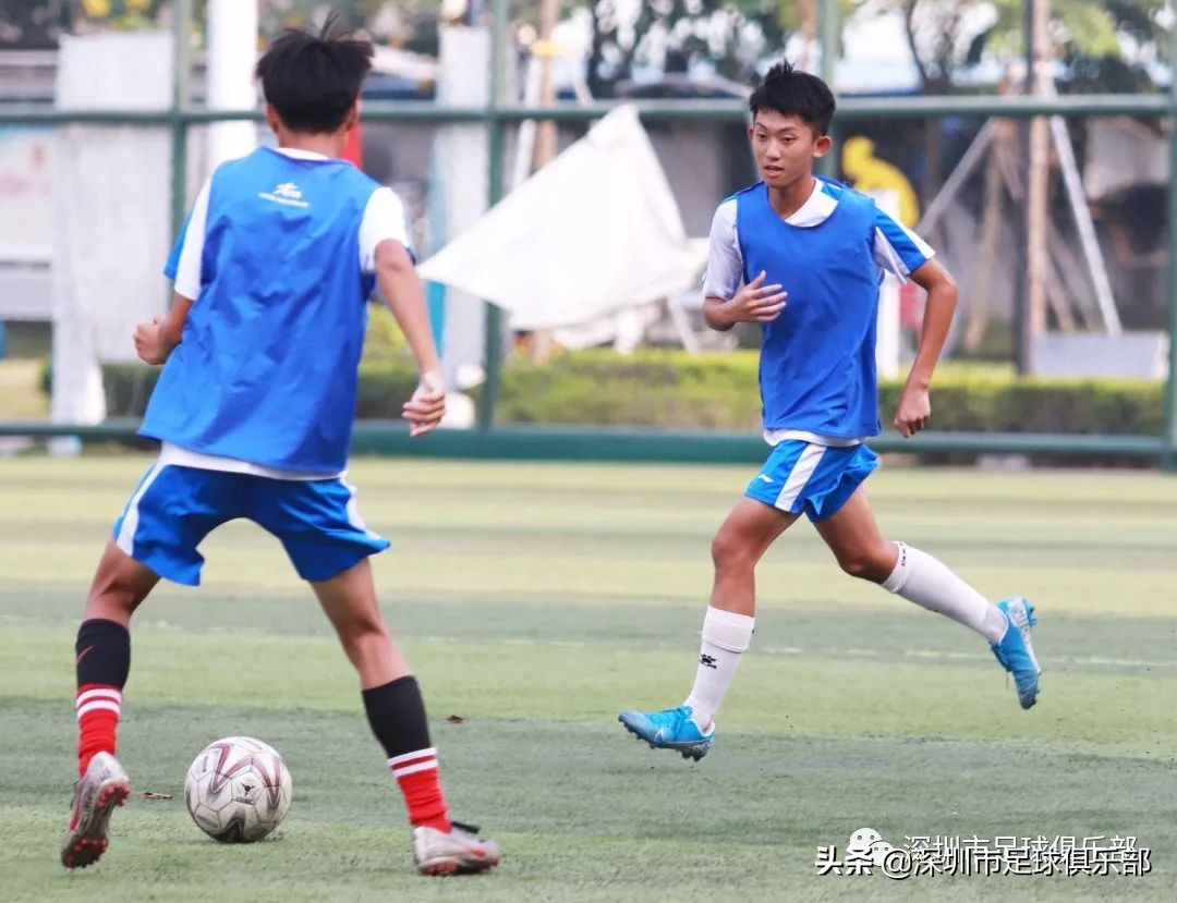 谭鑫到底有多厉害,深足谭鑫完整版