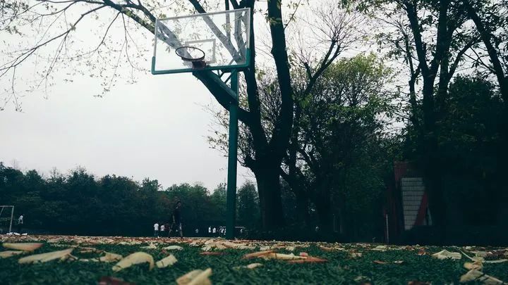 重庆求精中学划片范围,重庆求精中学指标到校