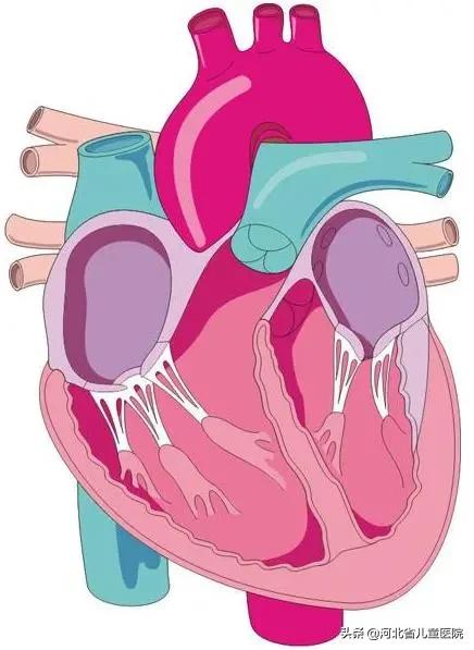 我的心脏砰砰跳400字作文,我的心脏砰砰跳儿歌