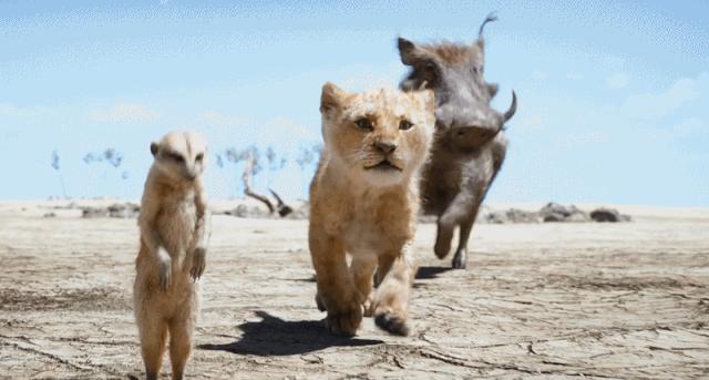 看狮子王电影,看电影狮子王