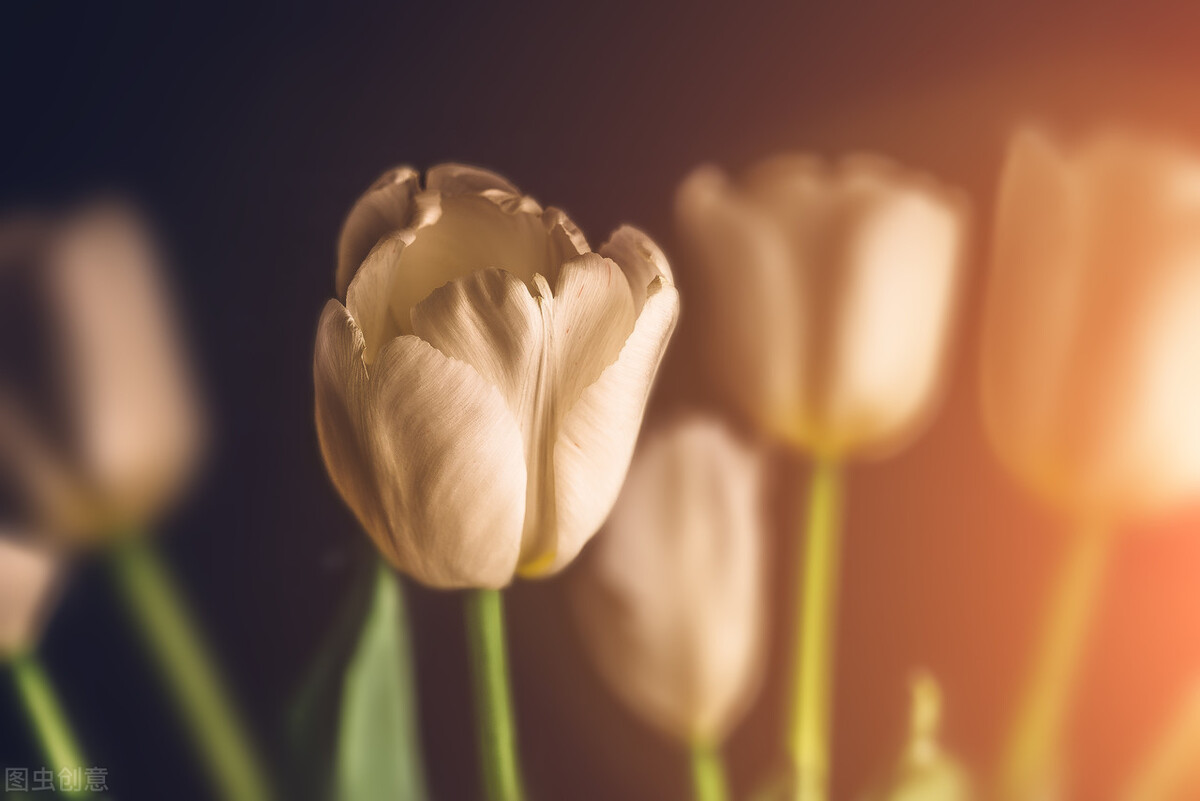 一起期待迎接新的小生命,一起迎接新生命的到来