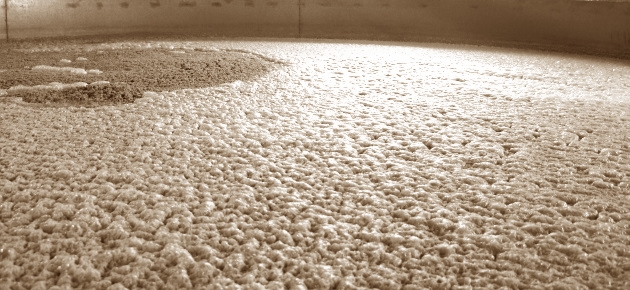 威威知识,威威知识分享