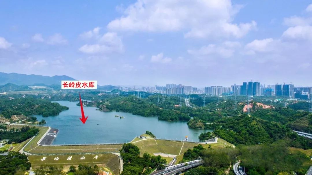 太劲爆!半4、海2后,南山又有豪宅要入市,住宅只有300多套