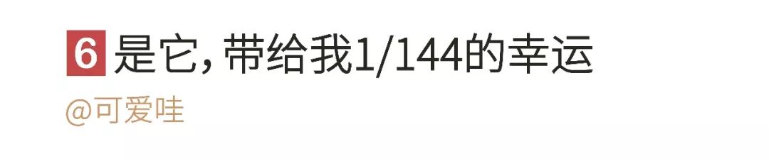 “我，21岁单身男，靠300个娃娃续命”：那些你无法想象的爱