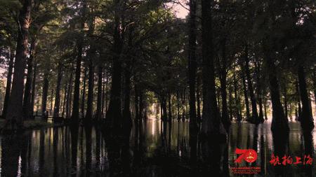 超燃大片！航拍上海24小时，16区混剪版亮出魔都的“精气神”【可爱的中国，奋进的上海】