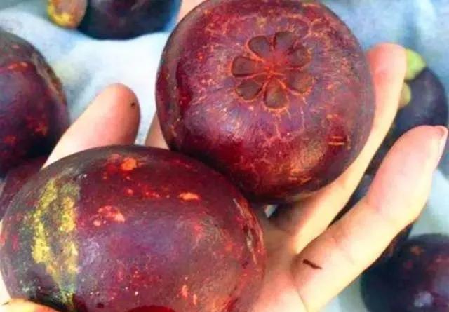 挑选山竹的3种小诀窍介绍,挑选山竹的小秘诀