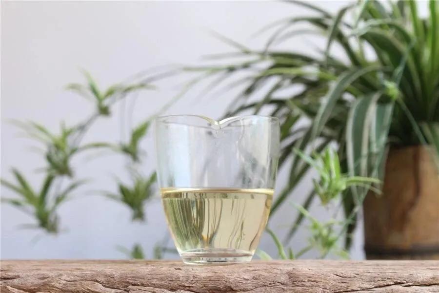 描写山茶梅花的诗句,描写茶梅花的诗句