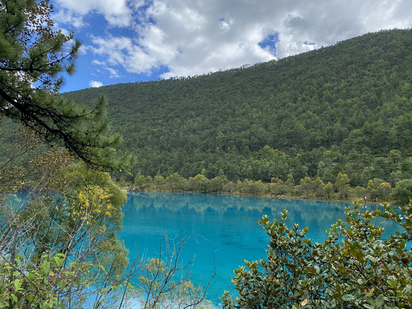 天下第一泉趵突泉游玩攻略,天下第一泉趵突泉视频
