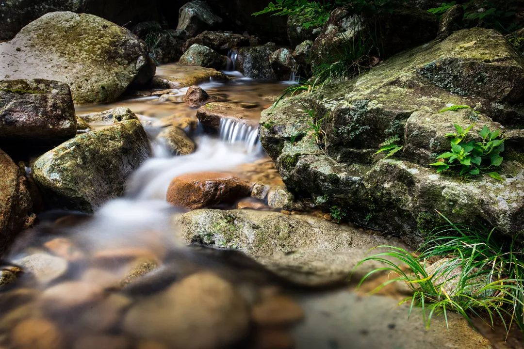 现代教育的缺失和遗憾,襄城县现状