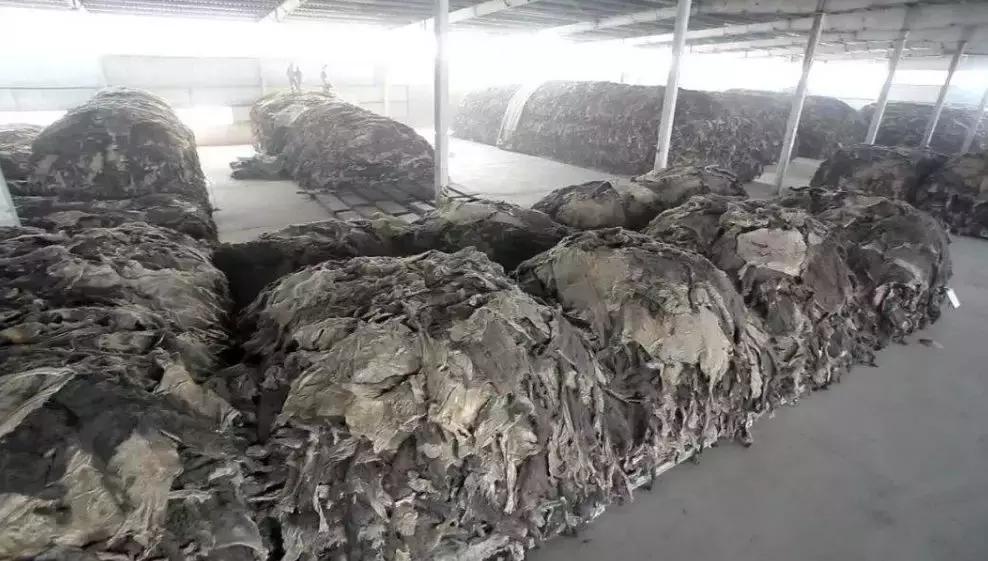 东阿阿胶历年利润,东阿阿胶19年销售下滑为什么多