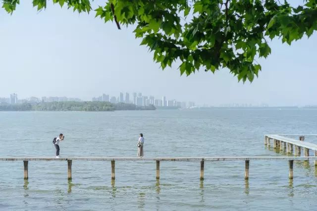 武汉公园免费景点推荐,武汉免费看花景点