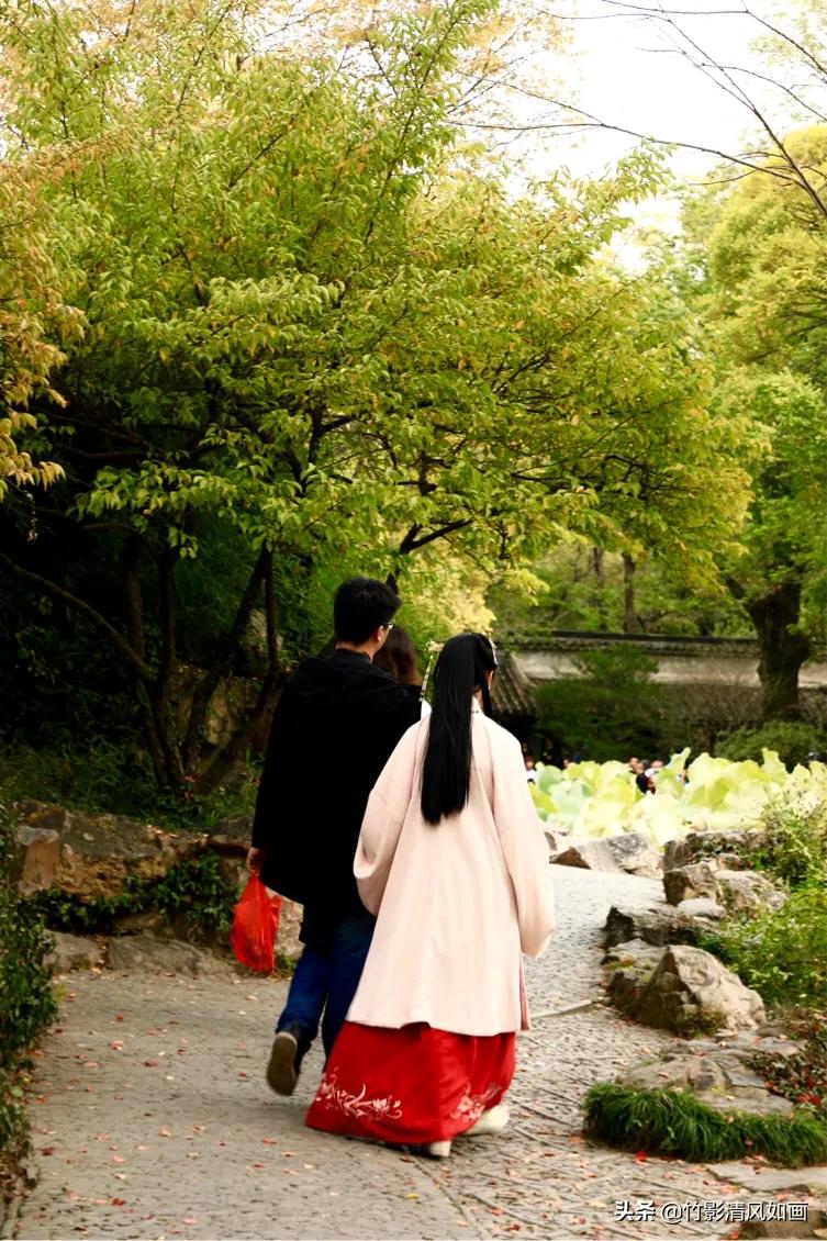 春天里的一抹绿色,春天的一抹绿意