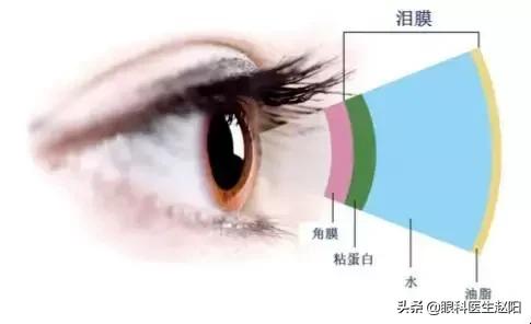 缓解干眼的眼药水,缓解干眼症最有效的眼药水