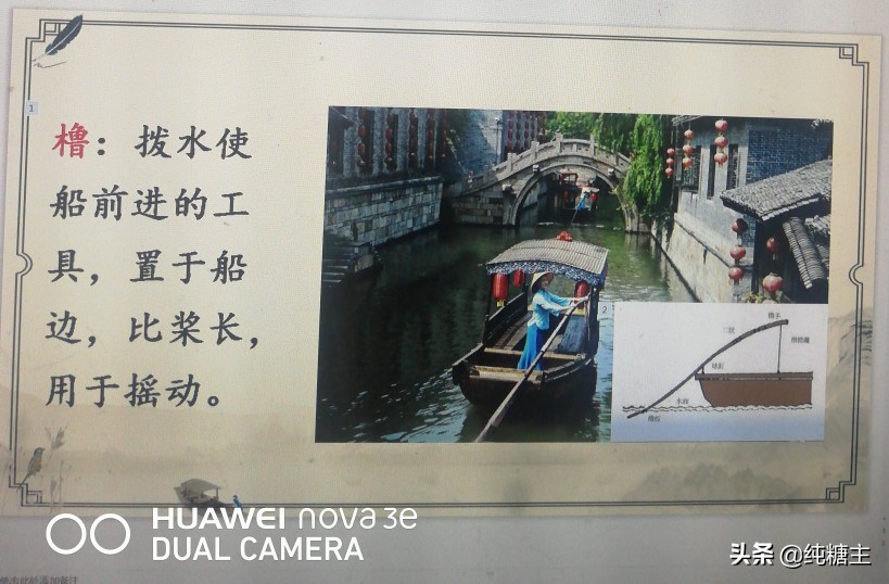 三年级语文上册搭船的鸟预习笔记,三年级搭船的鸟课文笔记