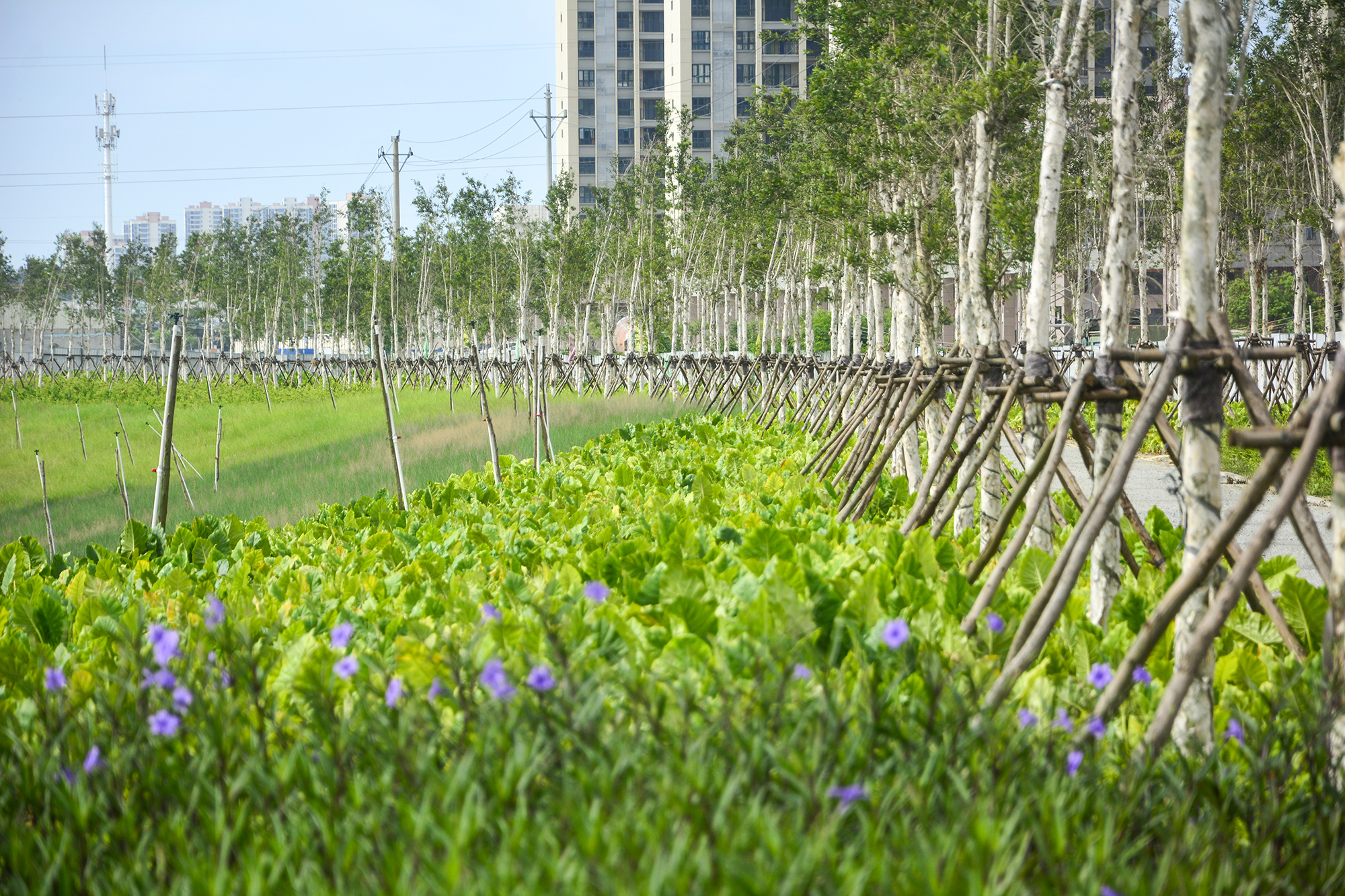 北海新的风景区,北海新建的公园