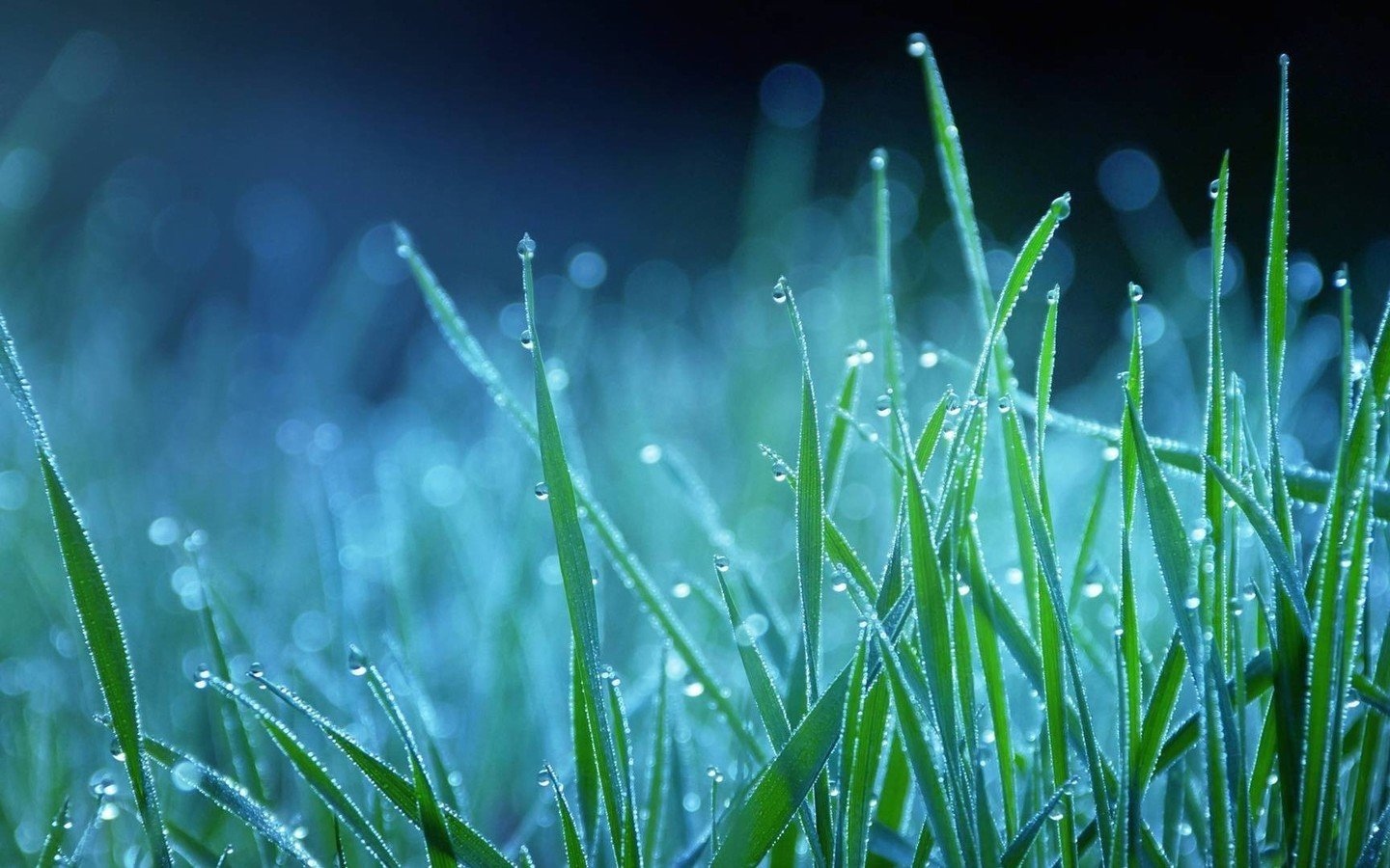 人遇到大难时该怎样度过,人遇到大难的前兆