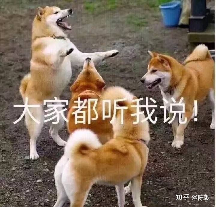 购物返利的正确方式,购物返利都有哪些