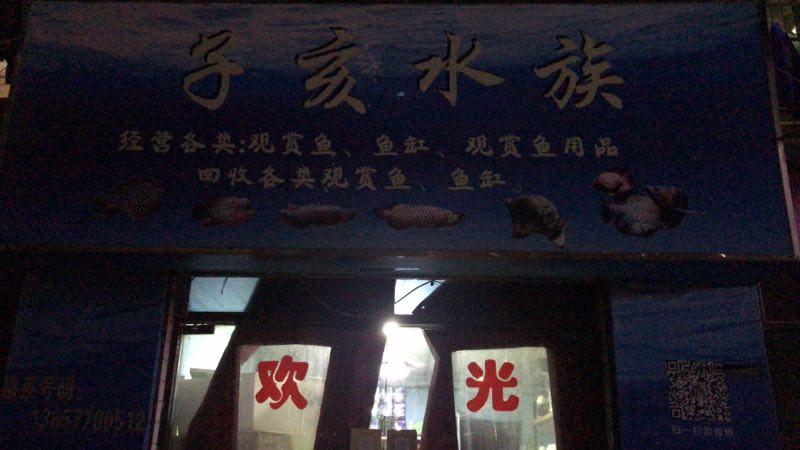 龙鱼蒙眼用蒙眼药可以治好吗,龙鱼蒙眼用蒙眼康好使吗