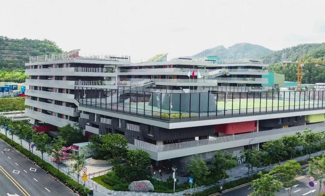 理论中心组进行集体学习,理论学习中心组集体学习计划