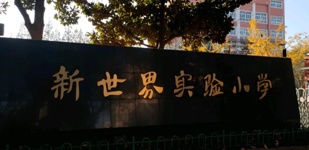 上海这16所学校成全国示范,上海即将改名的5所大学