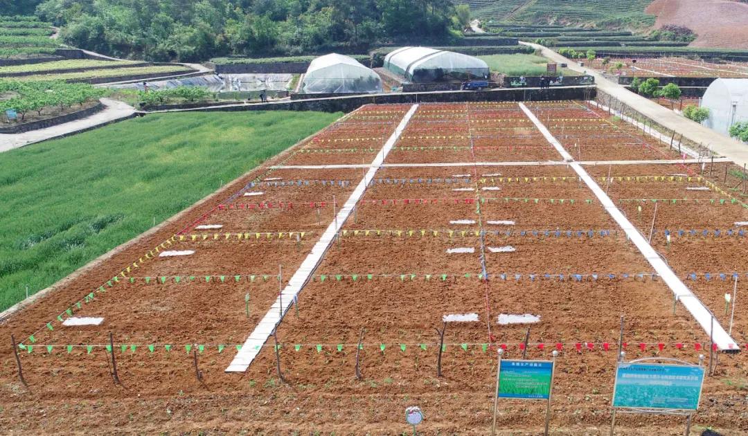 一起去瓶窑“拿块地”！古城旁，南山下，50个平方200元......