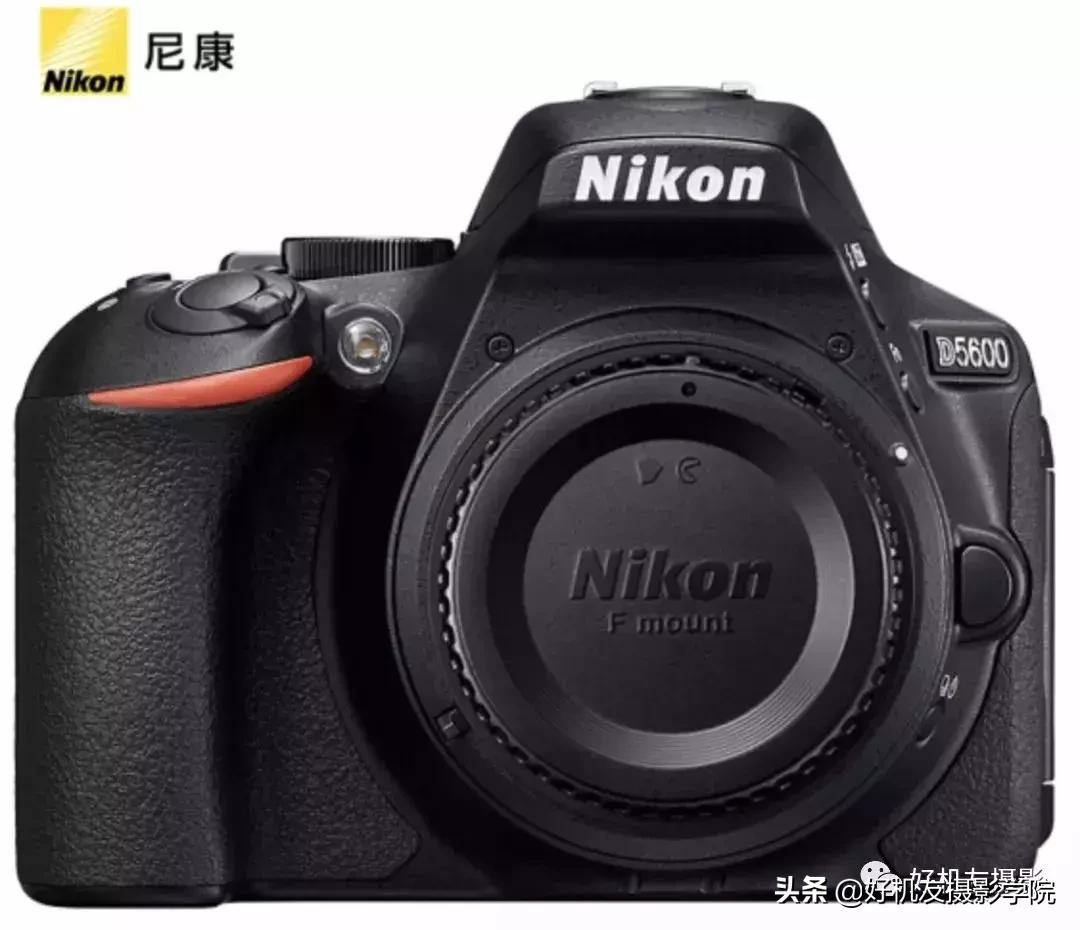 拍鸟最佳相机镜头配置,相机拍鸟技巧图解