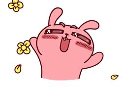 没有蔷薇科，哪里会有春天？