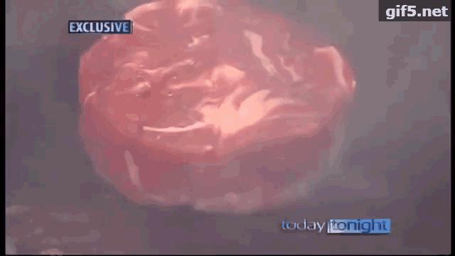 澳洲牛肉骗局揭秘,澳洲牛肉真相揭秘