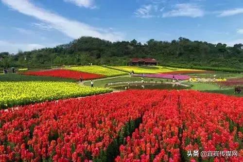 为宜宾写首歌，奖金5万！让我们一起听宜宾的故事