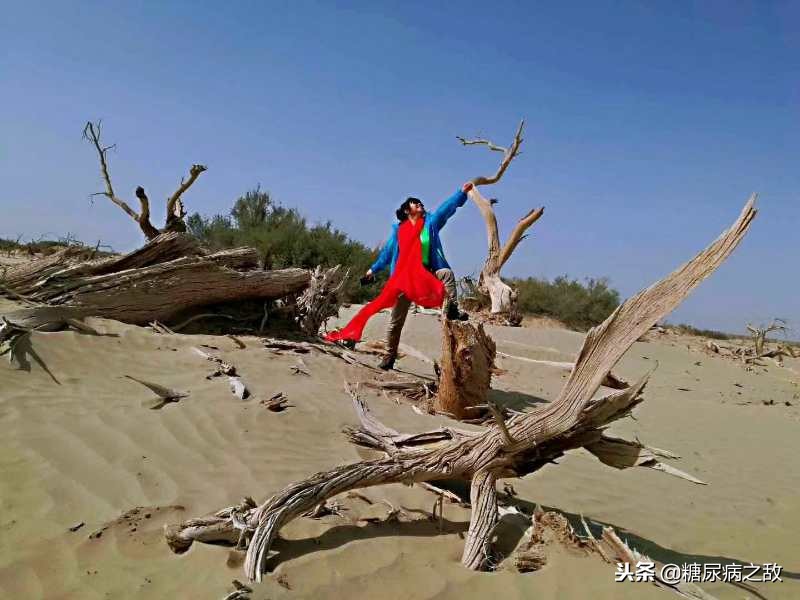 适合糖尿病人旅行的食物,适合糖尿病患者的旅行