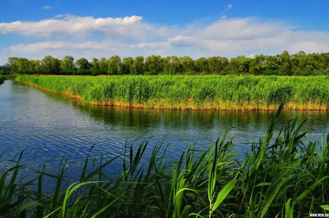 北京小众湿地公园免费,北京周边湿地公园