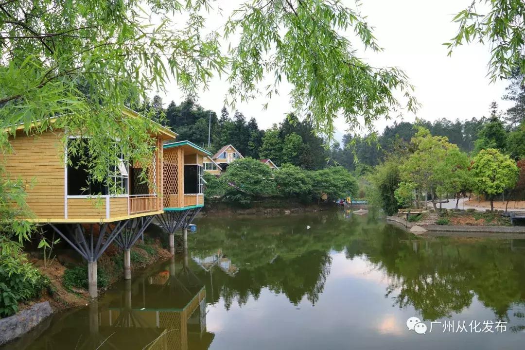 新鲜出炉！从化这两个地方入选“广东最美田园”！