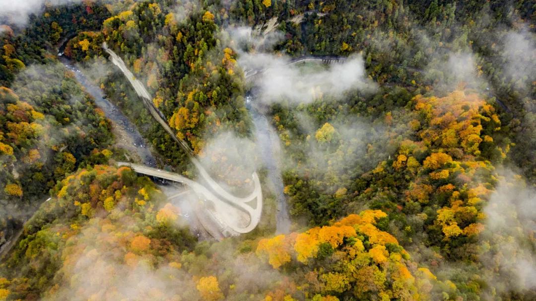 陕西汉中黎坪红叶,汉中黎坪红叶免费