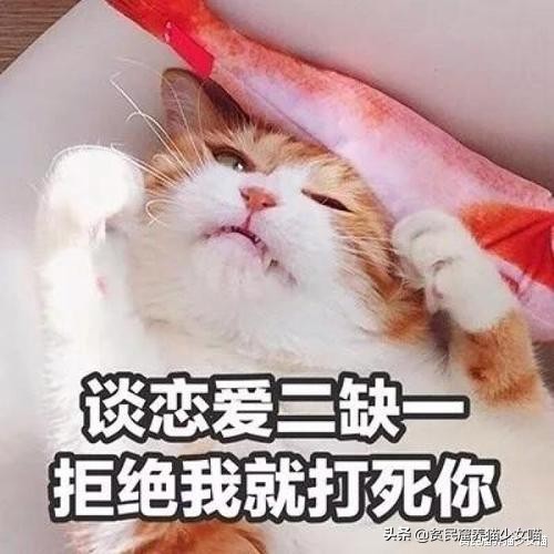 流浪猫在树上下不来,流浪猫爬到3楼墙角下不来了