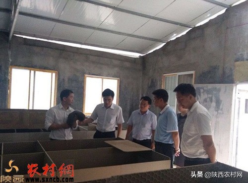 农村三种小生意,目前在农村两三万能做什么小生意