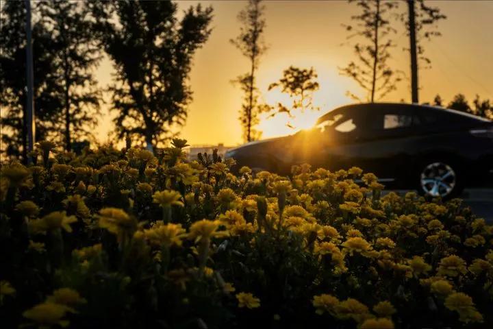 昆山杜克大学简介,江苏昆山杜克大学硕士