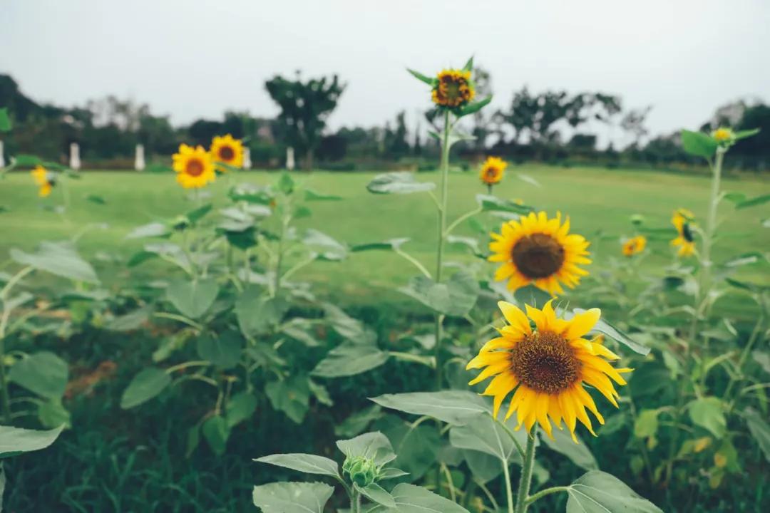 周末去哪里玩成都室内,周末去哪儿玩儿成都周围