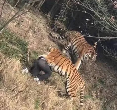 拼多多和淘宝的日活用户,拼多多日活用户超过淘宝了吗