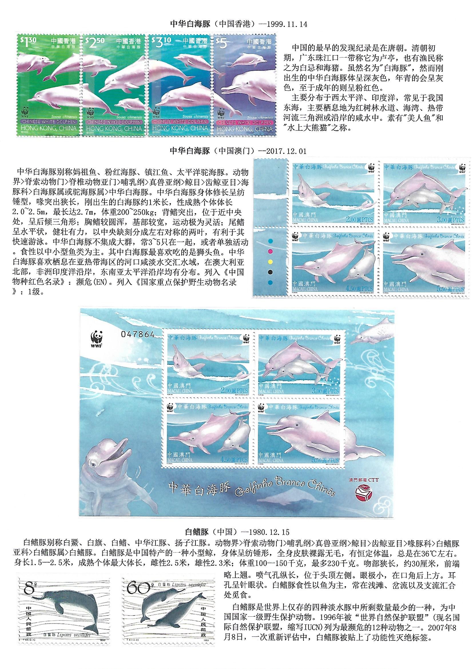 鲸和鲨（WhaleShake）