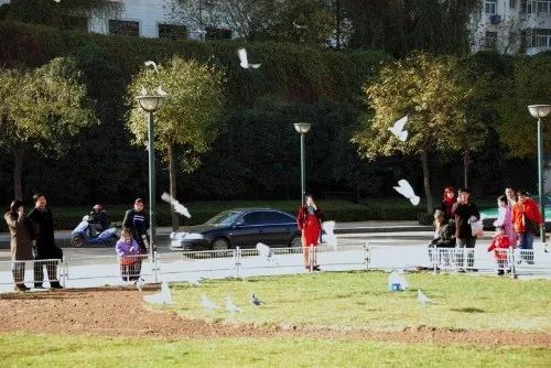 这，才是老西安才懂的钟楼