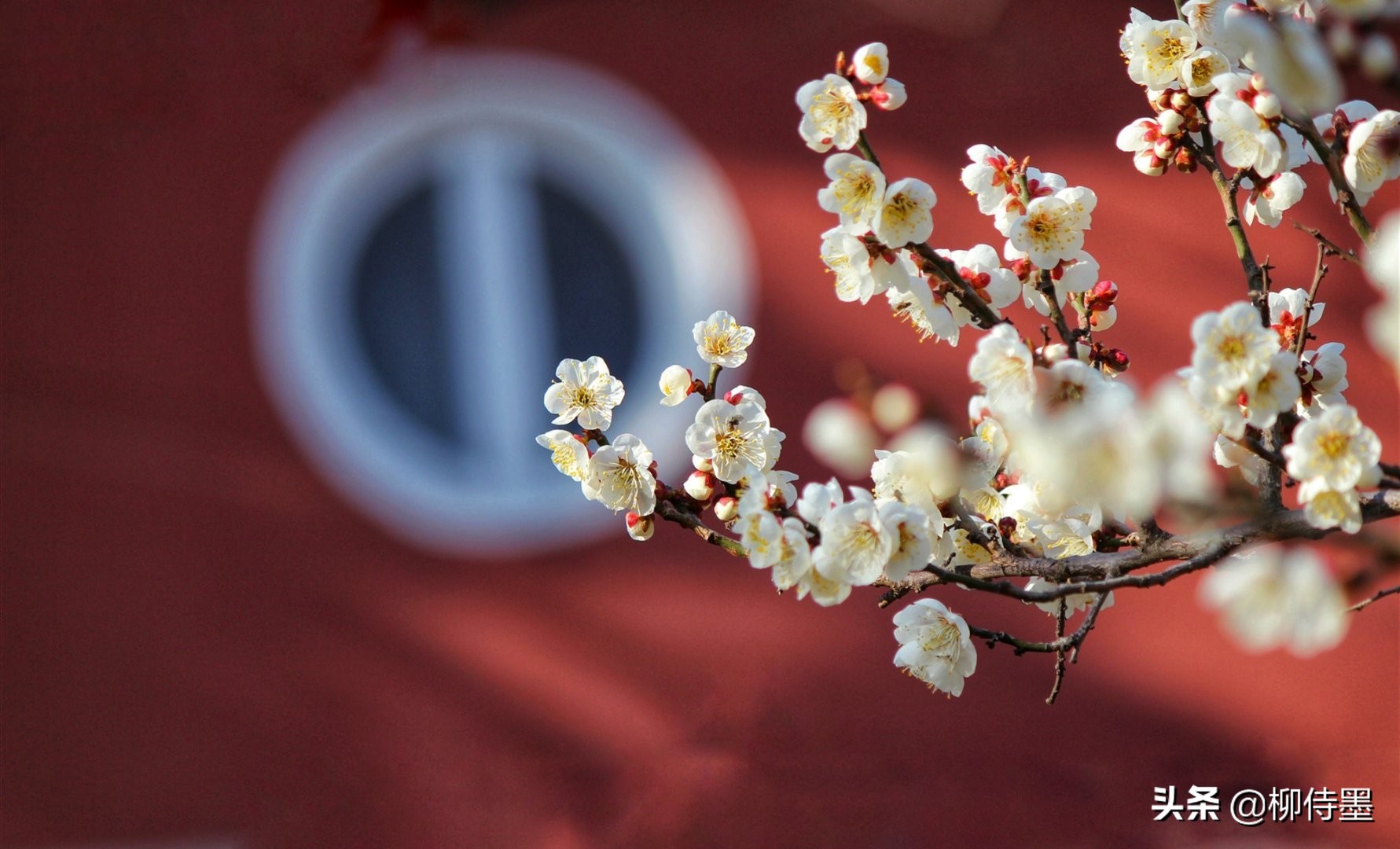 拍摄古建筑摄影技巧,古建筑双人拍照怎么拍出高级感