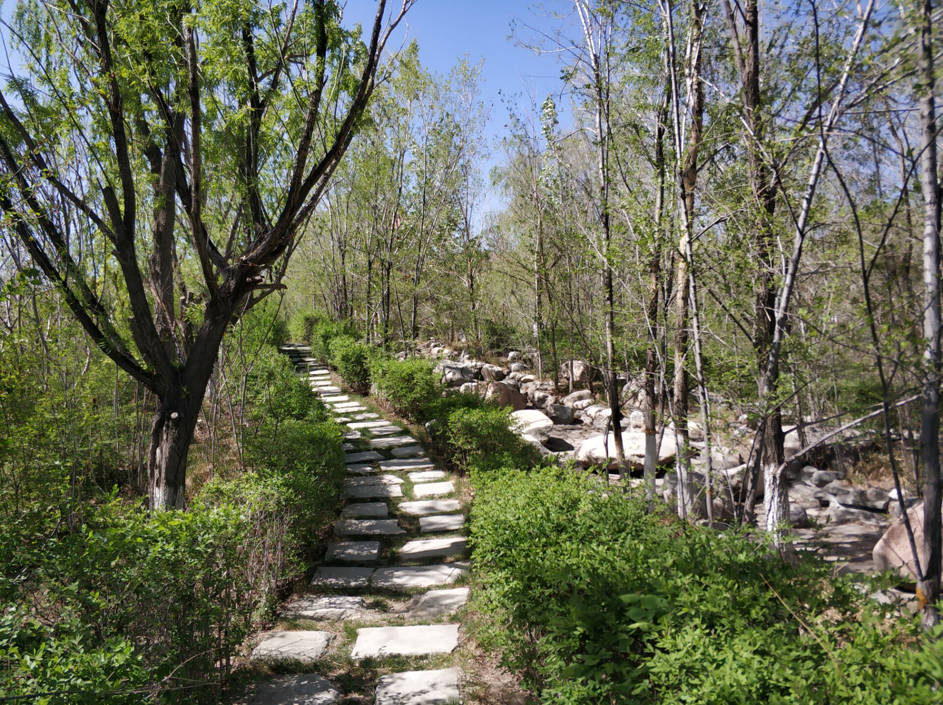 乌鲁木齐居然有这么漂亮的地方,乌鲁木齐周边森林公园在哪里